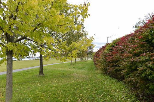 Park «Little Bay Park», reviews and photos, Cross Island Pkwy, Whitestone, NY 11357, USA