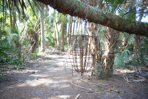 Tourist Attraction «Sterling Stables», reviews and photos, 6450 FL-520, Cocoa, FL 32926, USA