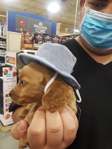 Pet Supply Store «PetSmart», reviews and photos, 3610 Rosecrans St, San Diego, CA 92110, USA