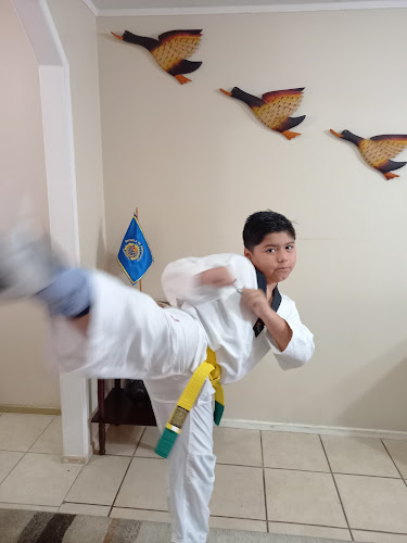 Opiniones de taekwondo Coronel en Coronel - Escuela