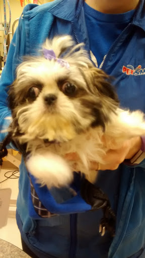 Pet Supply Store «PetSmart», reviews and photos, 156 Old Little Britain Rd, Newburgh, NY 12550, USA