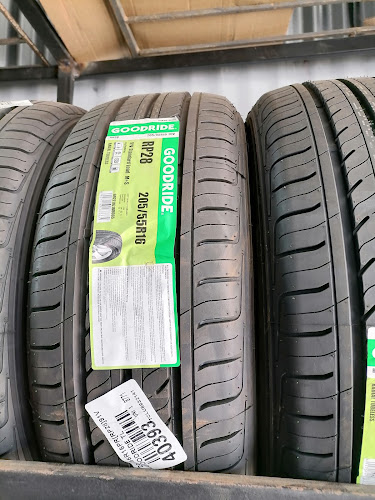 La Bodega del Neumático - Tienda de neumáticos