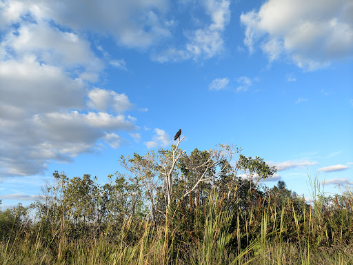 Tourist Attraction «Blackwater Airboat Tours», reviews and photos, US-27, Pompano Beach, FL 33321, USA