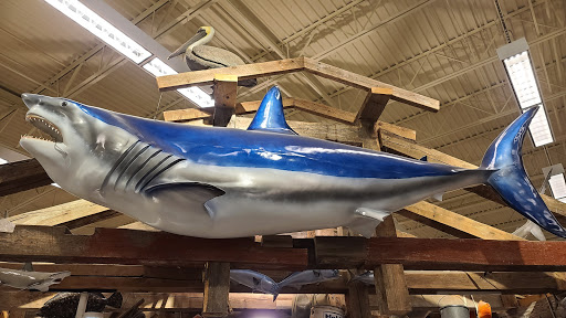 Sporting Goods Store «Bass Pro Shops», reviews and photos, 10501 Palm River Rd, Tampa, FL 33619, USA