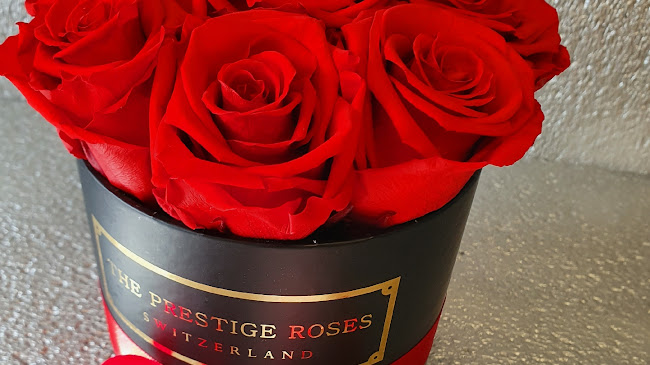 The Prestige Roses Switzerland - langlebige Rosen online kaufen