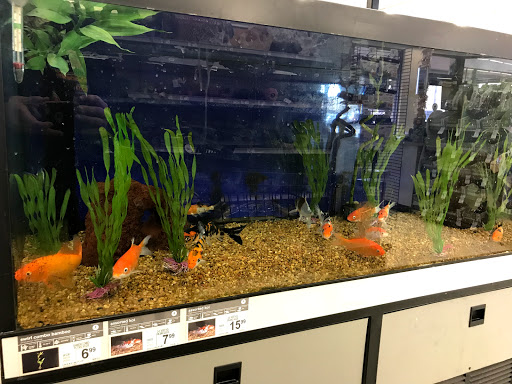 Pet Supply Store «Petco Animal Supplies», reviews and photos, 1820a W Uintah St, Colorado Springs, CO 80904, USA