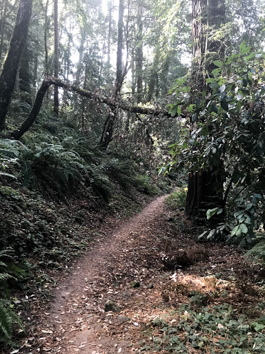 Museum «Gonzales Memorial Museum», reviews and photos