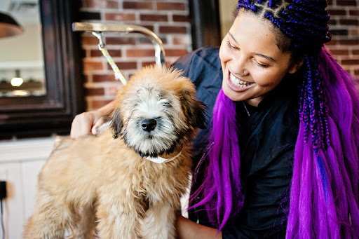 Pet Store «Market Street PET DEPOT», reviews and photos, 2979 S Market St, Gilbert, AZ 85295, USA