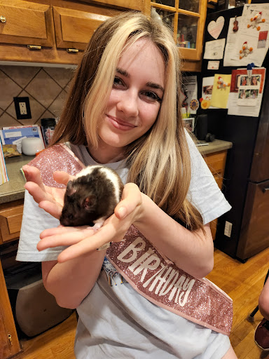 Pet Store «Olathe Pet Shop», reviews and photos, 16651 151st St, Olathe, KS 66062, USA