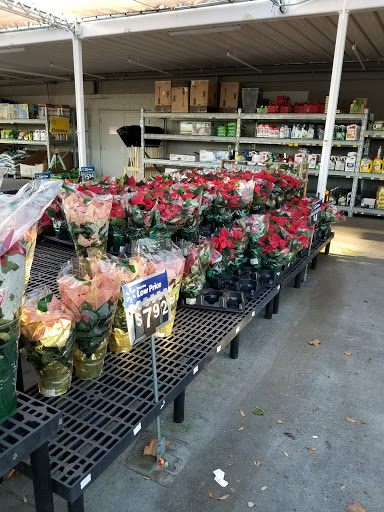 Department Store «Walmart Supercenter», reviews and photos, 150 Altama Connector, Brunswick, GA 31525, USA