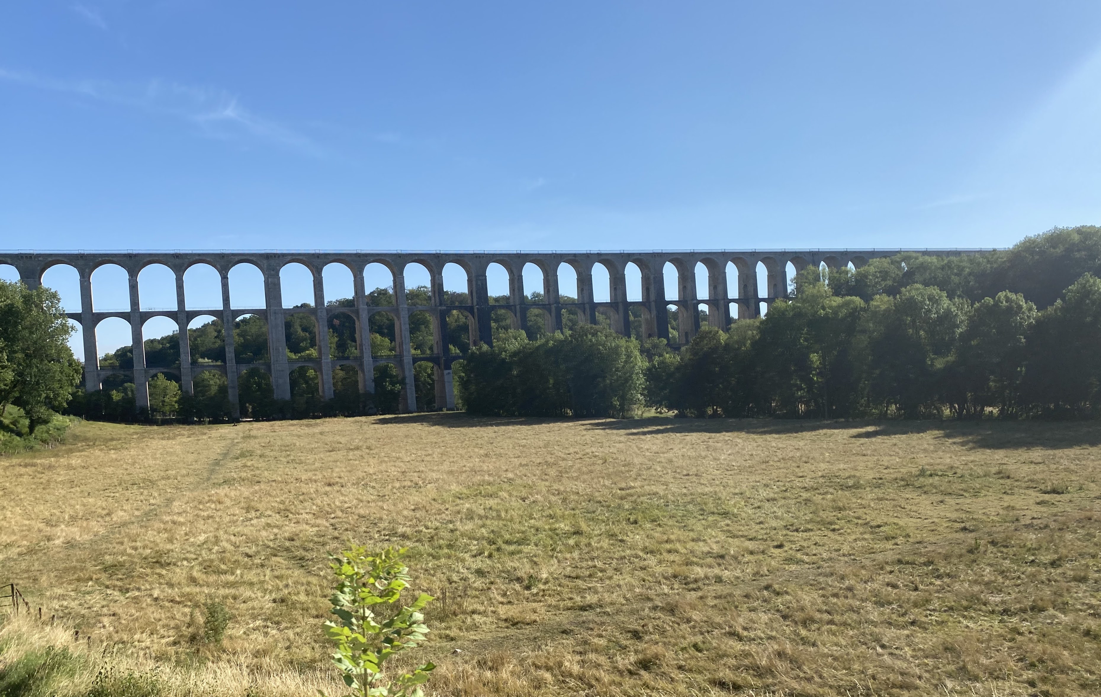 Photo n° 3 de l'avis de dominique.r fait le 27/07/2020 à 16:54