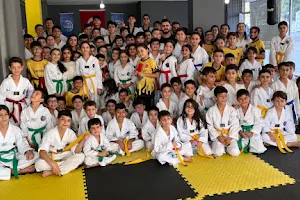 NUSAYBİN S Z G N Taekwondo - Kickboks Spor Okulu - Nusaybin image