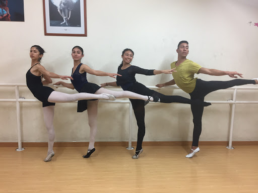 EBSA DANZA - Escuela de Ballet Sandra Arenas