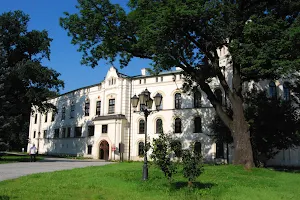 Żywiec Town Museum image