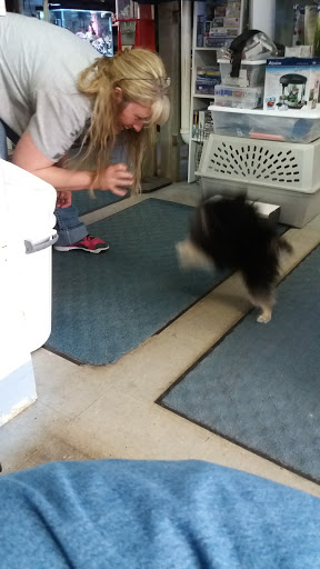 Tropical Fish Store «Marine Oasis», reviews and photos, 5340 W Ridge Rd, Spencerport, NY 14559, USA