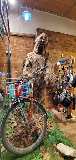 Bicycle Store «Sunflower Outdoor & Bike Shop», reviews and photos, 804 Massachusetts St, Lawrence, KS 66044, USA