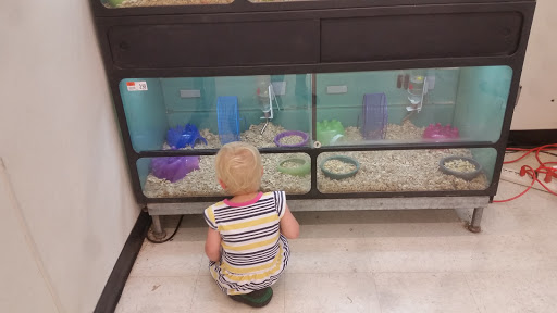 Pet Supply Store «Pet Supplies Plus», reviews and photos, 228 Gadsden Hwy, Birmingham, AL 35235, USA