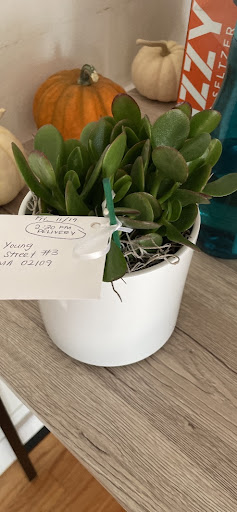 Florist «Flores Mantilla», reviews and photos, 164 Washington St, Marblehead, MA 01945, USA