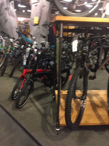 Camping Store «REI», reviews and photos, 1790 Expo Pkwy, Sacramento, CA 95815, USA