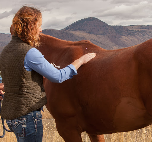 Kamloops Large Animal Veterinary Clinic image