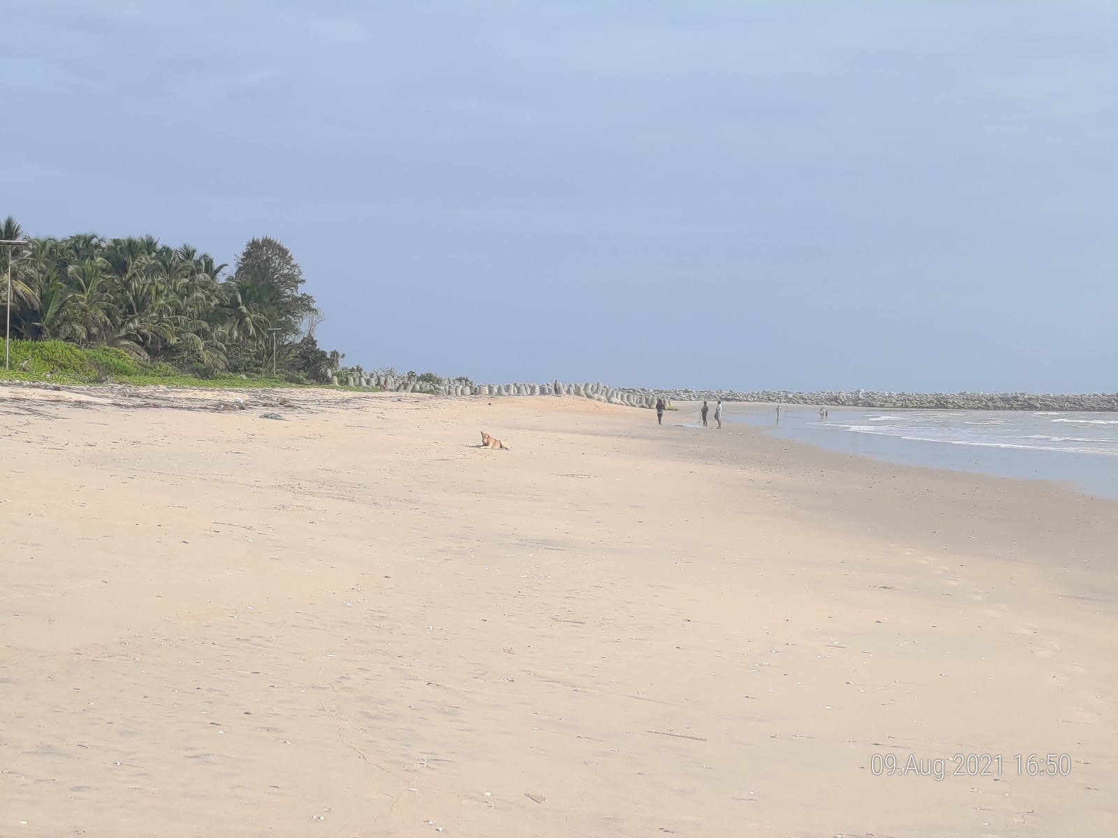 Photo de Alvekodi Beach zone des équipements