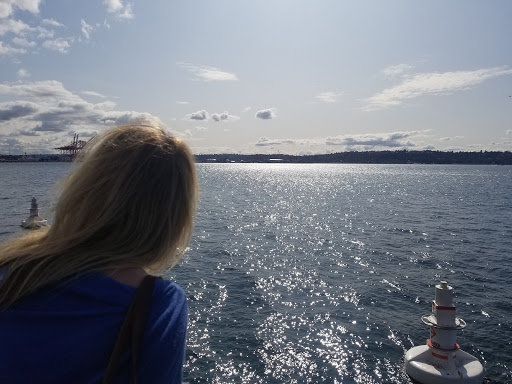 Park «Waterfront Park», reviews and photos, 1401 Alaskan Way, Seattle, WA 98101, USA