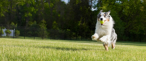 Pet Supply Store «Animal Connection LLC», reviews and photos, 1701 Allied St, Charlottesville, VA 22903, USA
