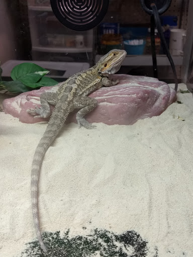 Tropical Fish Store «Monfort Aquarium & Pet», reviews and photos, 6520 Colerain Ave, Cincinnati, OH 45239, USA