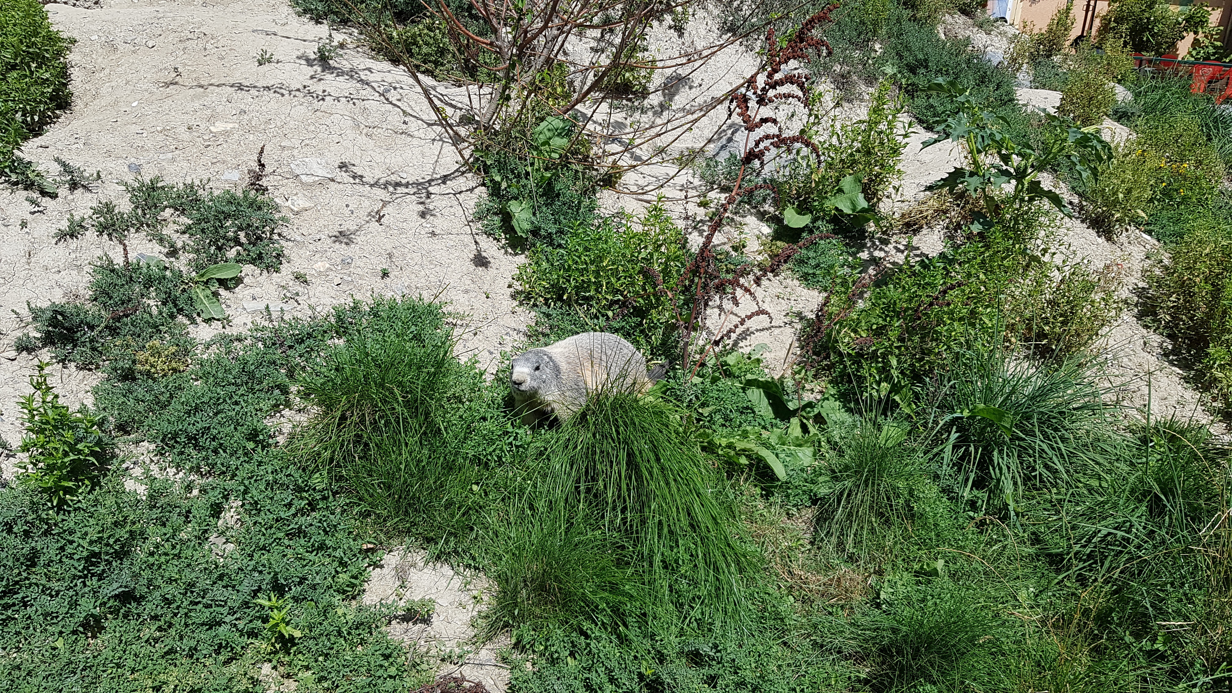 Photo n° 2 de l'avis de TonTon.e fait le 26/08/2018 à 21:52