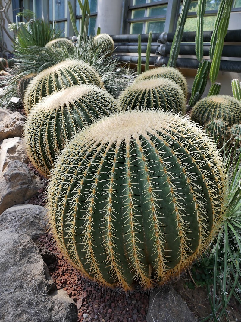 市川市観賞植物園