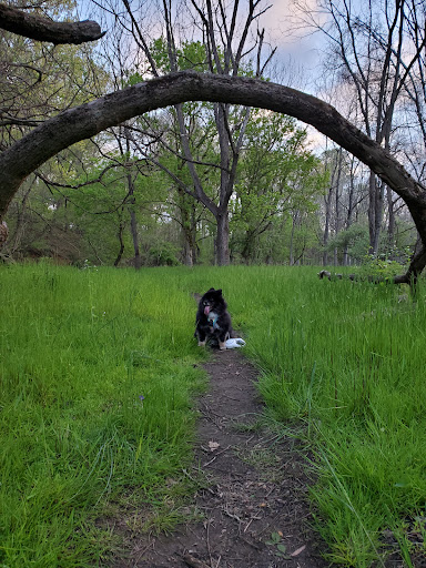 Nature Preserve «Big Brook Preserve», reviews and photos, 95 Hillsdale Rd, Colts Neck, NJ 07722, USA