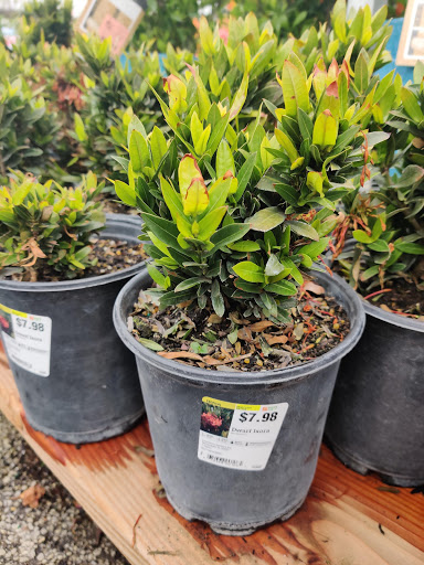 Home Improvement Store «The Home Depot», reviews and photos, 2111 Randall Rd, Geneva, IL 60134, USA