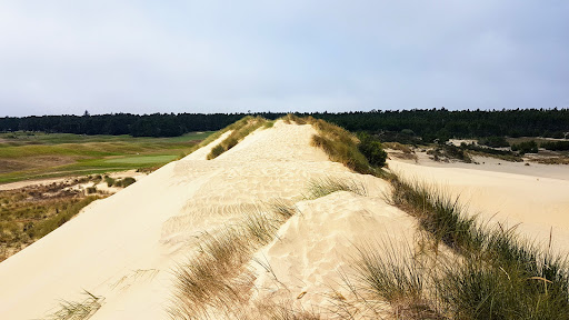 Recreation Center «Sand Master Park - Sandboarding», reviews and photos, 5351 US-101, Florence, OR 97439, USA
