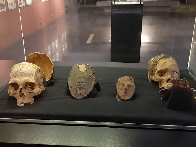Opiniones de Museo Arqueológico San Miguel de Azapa en Arica - Museo