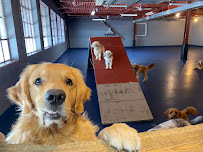 Great Expectations Dog Center - Photo 8 - Car repair in Green Bay, WI, Green Bay