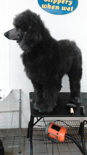 Pet Store «Feeders Supply», reviews and photos, 229 E Lewis and Clark Pkwy, Clarksville, IN 47129, USA