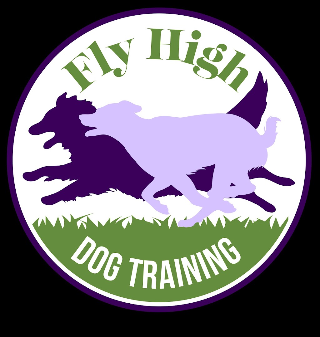 Fly High Dog Training