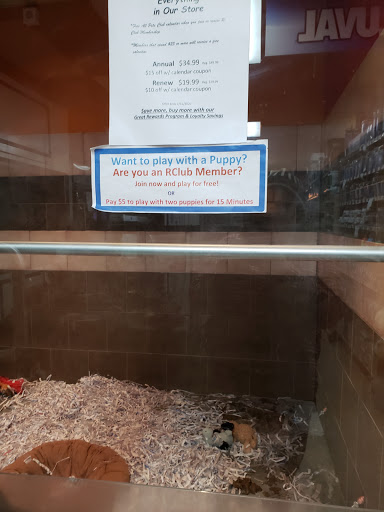 Pet Store «All Pets Club», reviews and photos, 405 Queen St, Southington, CT 06489, USA