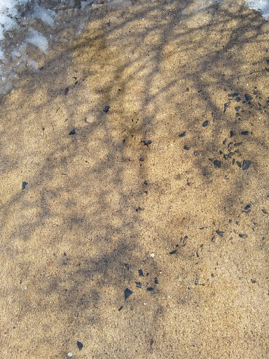 Park «Memorial Park», reviews and photos, 580 Valley St, Maplewood, NJ 07040, USA