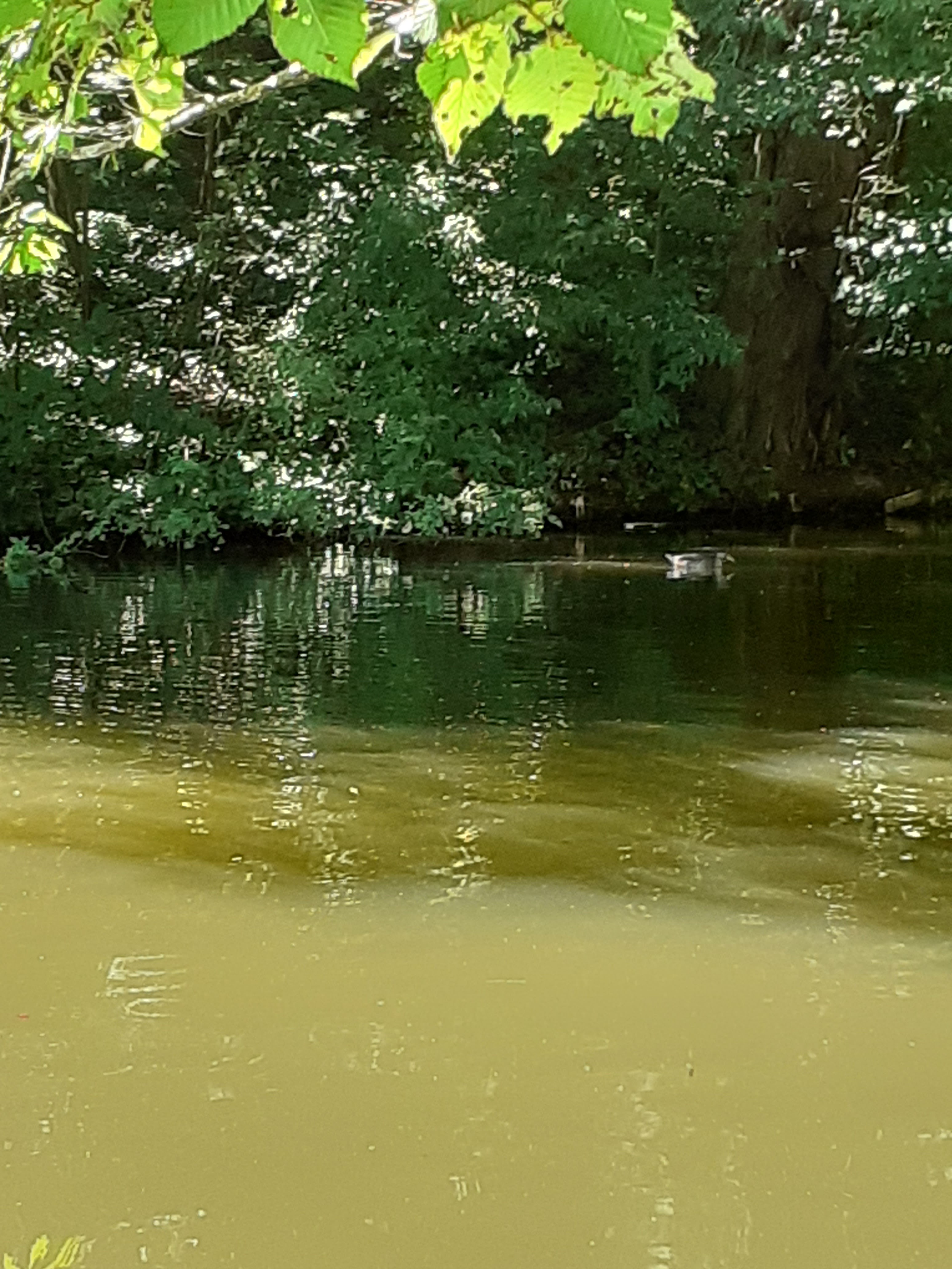 Photo n° 9 de l'avis de Noé.g fait le 01/12/2022 à 16:45