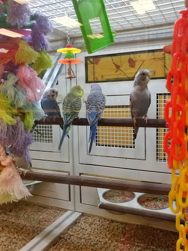 Places to buy birds in Las Vegas
