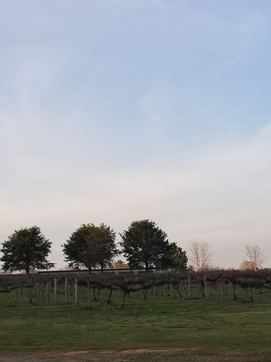 Winery «Fox Vineyards & Winery», reviews and photos, 225 State Hwy 11, Social Circle, GA 30025, USA