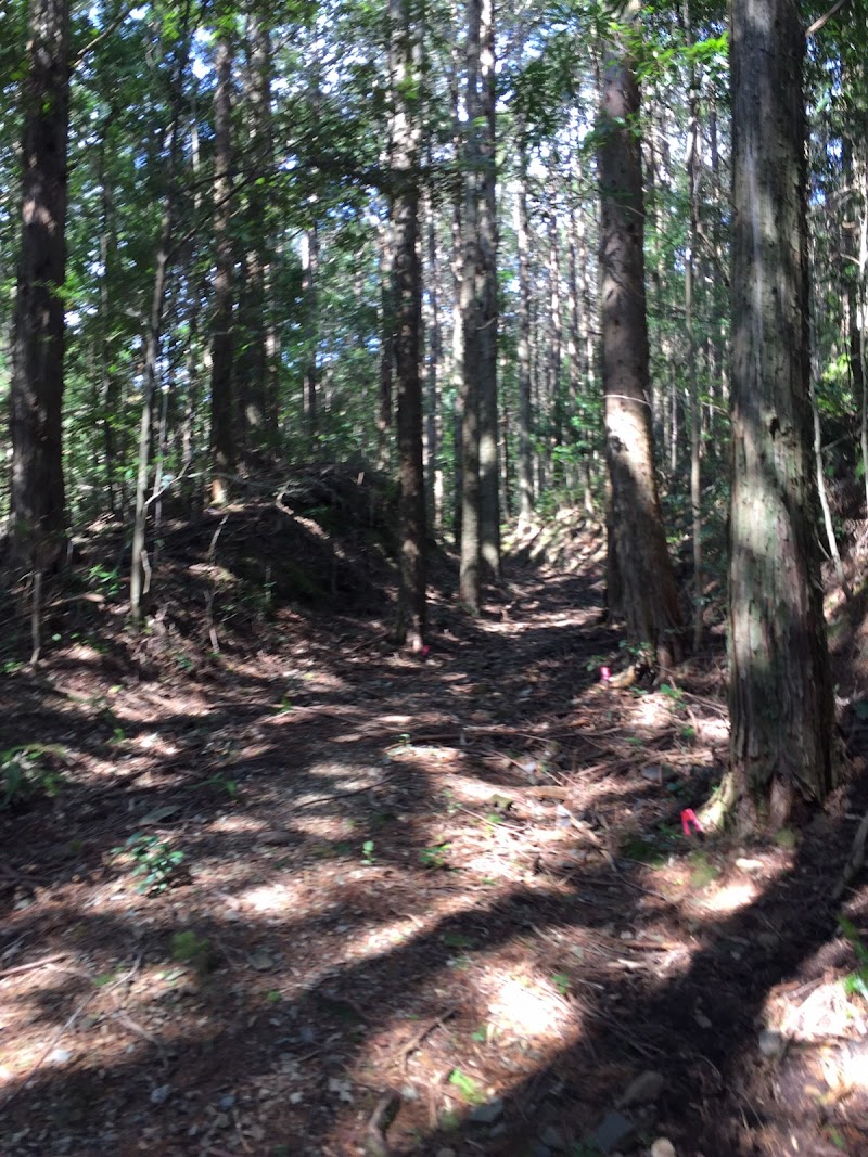 清水峠 石碑 施主 七兵衛 おゆき 与助 （熊野古道 大辺路）