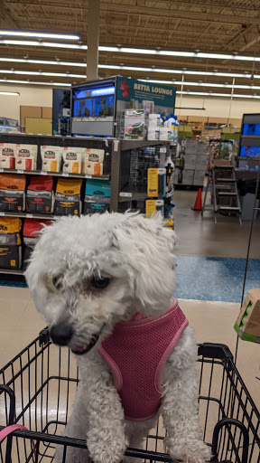 Pet Supply Store «Petco Animal Supplies», reviews and photos, 10315 E Shelby Dr, Collierville, TN 38017, USA