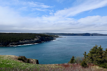 Middle Cove Lookout