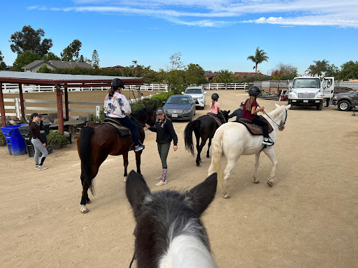 South Coast Equestrian