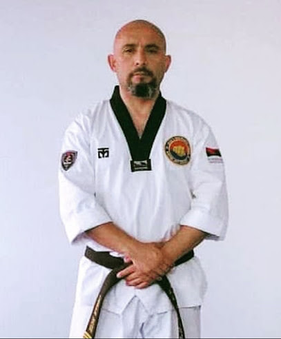 Academia Taekwondo Weichan Araucanía
