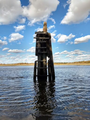 Nature Preserve «Maurice River Bluffs Preserve», reviews and photos, Silver Run Rd, Millville, NJ 08332, USA