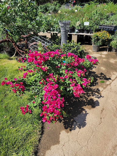 Landscaper «Wilson Landscape Nursery and Florist», reviews and photos, 14650 Bandera Rd, Helotes, TX 78023, USA