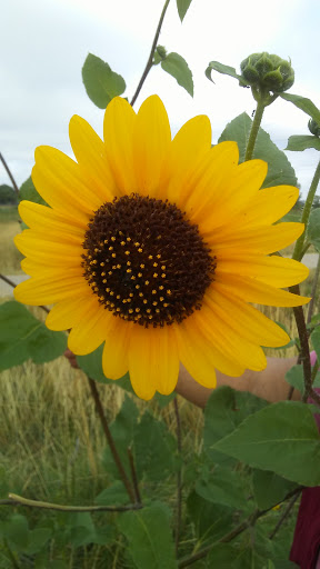 Park «Horseshoe Park», reviews and photos, 15151 E Alameda Pkwy, Aurora, CO 80012, USA